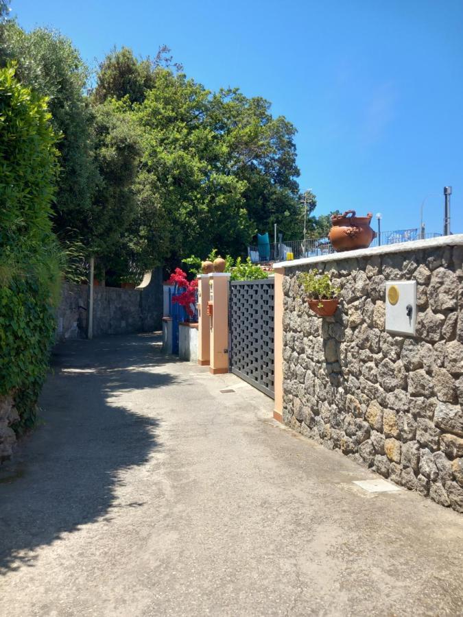 Villetta Panoramica Forio di Ischia Εξωτερικό φωτογραφία