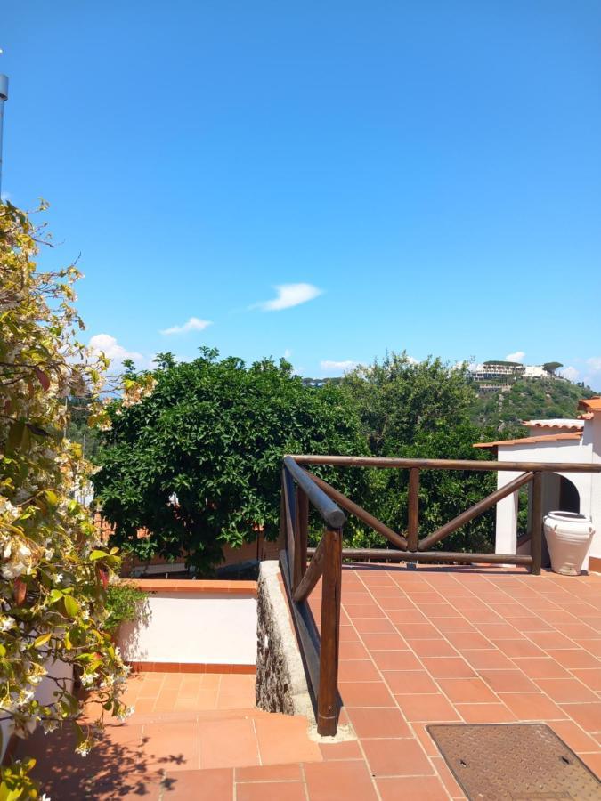 Villetta Panoramica Forio di Ischia Εξωτερικό φωτογραφία