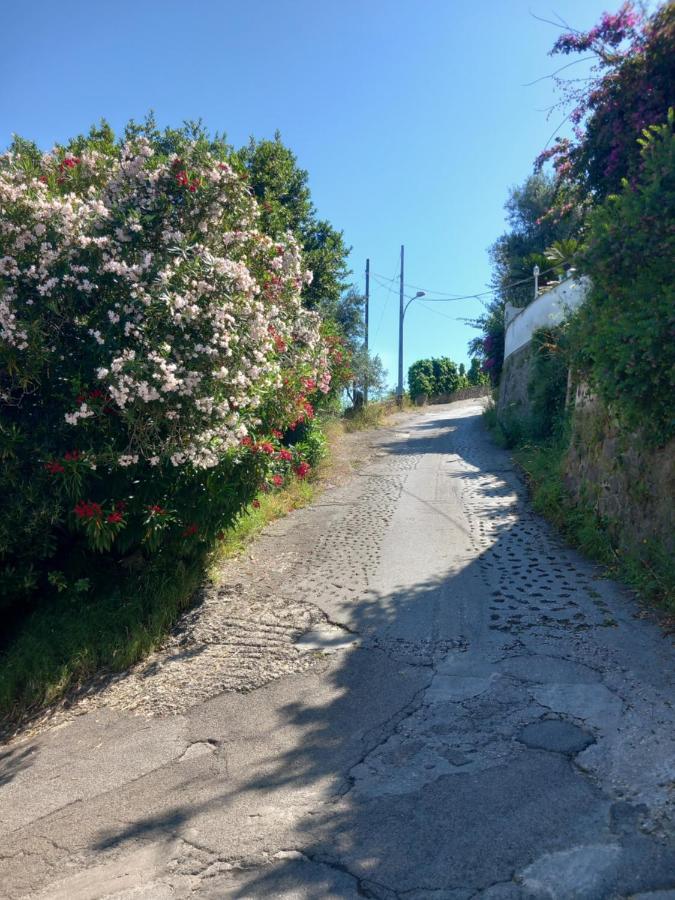 Villetta Panoramica Forio di Ischia Εξωτερικό φωτογραφία