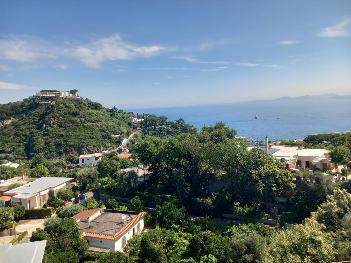 Villetta Panoramica Forio di Ischia Εξωτερικό φωτογραφία
